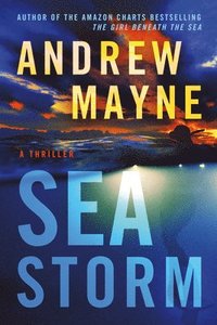 bokomslag Sea Storm