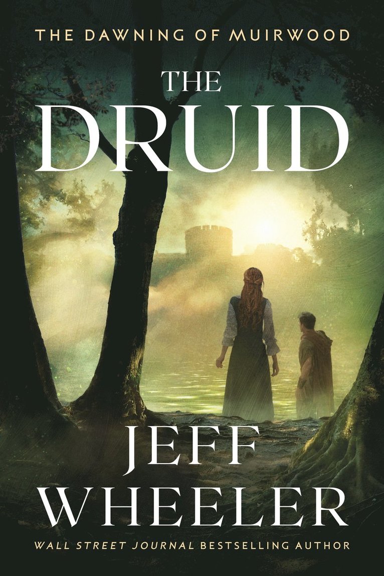 Jeff Wheeler - Druid, Häftad