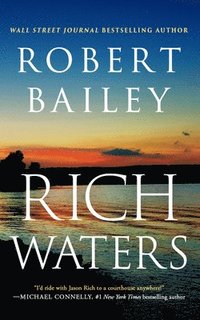 bokomslag Rich Waters