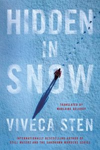 bokomslag Hidden in Snow