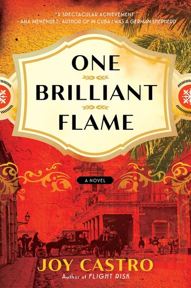 Joy Castro - One Brilliant Flame, Häftad