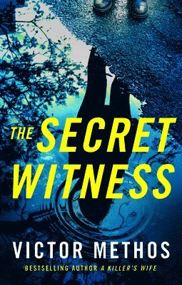 Secret Witness