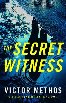 The Secret Witness 1