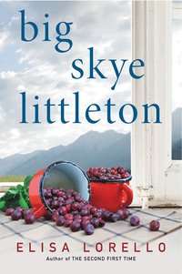 bokomslag Big Skye Littleton