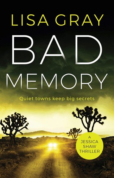 Lisa Gray - Bad Memory, Häftad