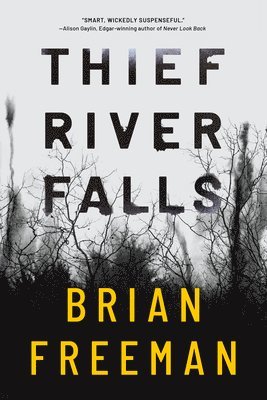 Thief River Falls 1