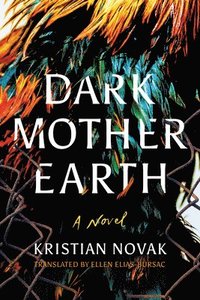 bokomslag Dark Mother Earth