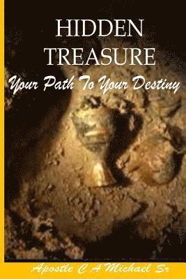 bokomslag Hidden Treasures: Your Path To Your Destiny