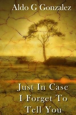 Aldo G. Gonzalez - Just In Case I Forget to Tell You: Life Lessons I Learned Along the Way, Häftad