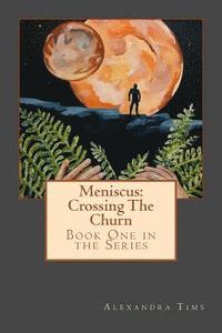 bokomslag Meniscus: Crossing The Churn