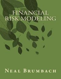 bokomslag Financial Risk Modeling