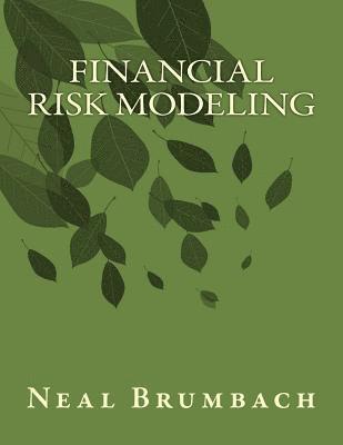 Financial Risk Modeling 1