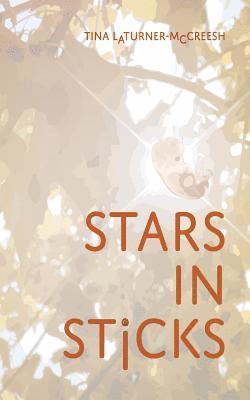 bokomslag Stars In Sticks
