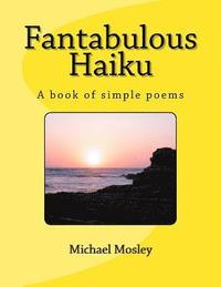 bokomslag Fantabulous Haiku
