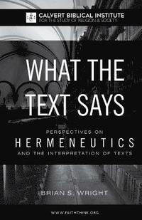 bokomslag What the Text Says: Perspectives on Hermeneutics and the Interpretation of Texts