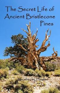 bokomslag The Secret Life of Ancient Bristlecone Pines: Book One of the Secret Life Series
