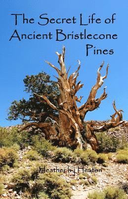 The Secret Life of Ancient Bristlecone Pines: Book One of the Secret Life Series 1