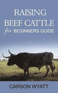 bokomslag Raising Beef Cattle For Beginner's Guide