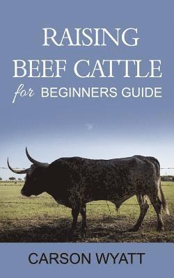 Raising Beef Cattle For Beginner's Guide 1