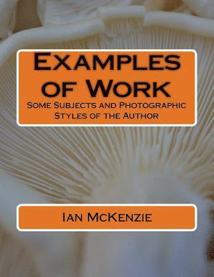 Ian McKenzie - Examples of Work: Some Subjects and Photographic Styles of the Author, Häftad. Tillgänglighet: Lägg i varukorg