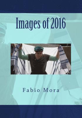 bokomslag Images of 2016