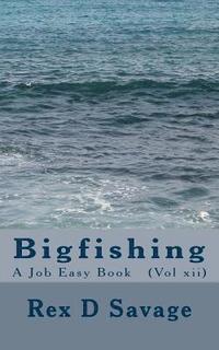 bokomslag Bigfishing