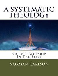 bokomslag A Systematic Theology: Vol VI - Worship In The Bible