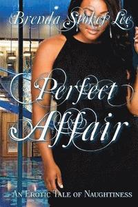 bokomslag Perfect Affair