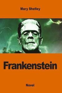 bokomslag Frankenstein: or the Modern Prometheus