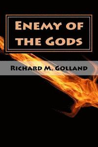 bokomslag Enemy of the Gods: The Second Book in the Champion Trilogy