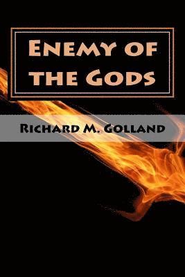 bokomslag Enemy of the Gods: The Second Book in the Champion Trilogy