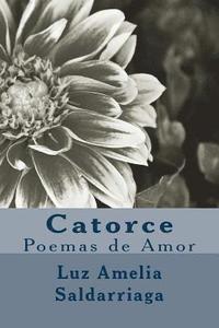 bokomslag Catorce: Poemas de Amor