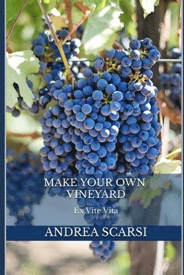 Make Your Own Vineyard 1