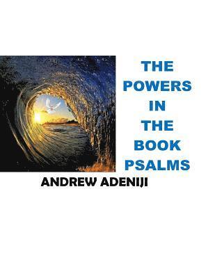 The Power In The Book Of Psalm: The Power In The Book 1