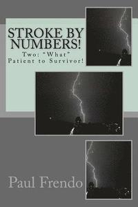 bokomslag Stroke by Numbers!: Two: 'What' Patient to Survivor!