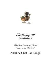 bokomslag Electricity 101: Alkaline State of Mind