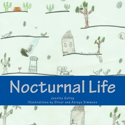 Nocturnal Life 1