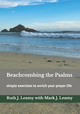 Beachcombing the Psalms: simple exercises to enrich your prayer life 1