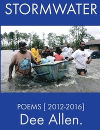 bokomslag Stormwater: Poems [ 2012-2016 ]