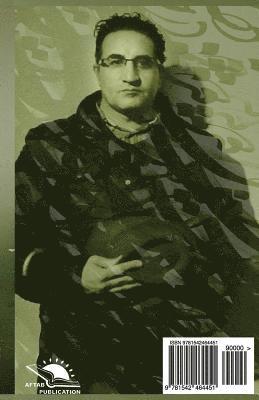 Shorab Rahimi - Companion Wind and Shade, Häftad