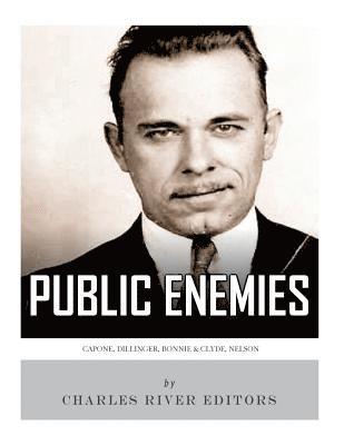 Public Enemies: Al Capone, John Dillinger, Bonnie & Clyde, and Baby Face Nelson 1