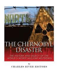 bokomslag Chernobyl Disaster
