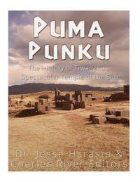 bokomslag Puma Punku: The History of Tiwanaku's Spectacular Temple of the Sun