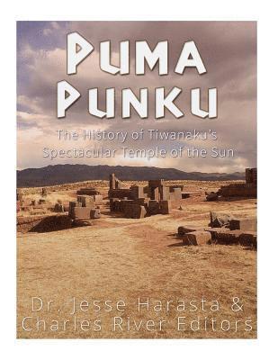 bokomslag Puma Punku