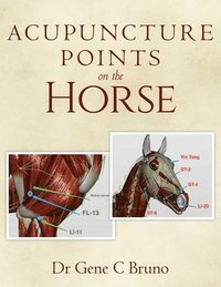 bokomslag Acupuncture Points on the Horse