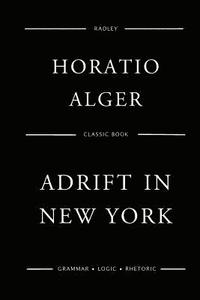 bokomslag Adrift In New York