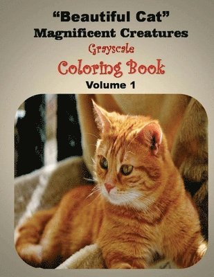 bokomslag Beautiful Cat Magnificent Creatures: Gray scale Coloring Book