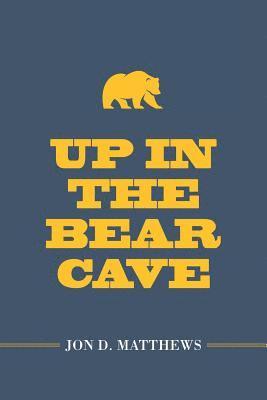 bokomslag Up in the Bear Cave