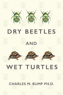 bokomslag Dry Beetles and Wet Turtles