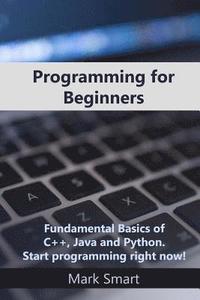 bokomslag Programming for Beginners: Fundamental Basics of C++, Java and Python. Start programming right now!